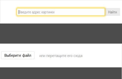“在Yandex中搜索图像的方式”