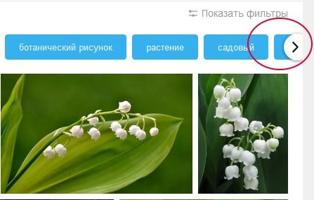 “箭头显示在Yandex中的其他过滤器”