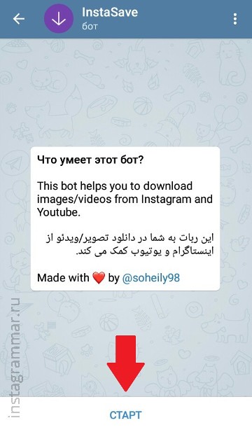 “匿名查看Instagram故事-Telegram机器人”