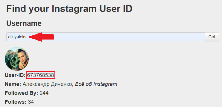 “如何在Instagram上找到ID”