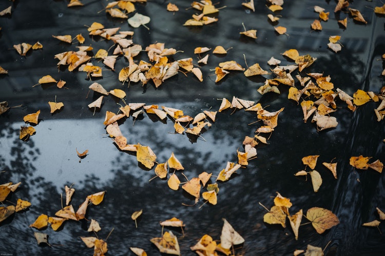 “秋天的Instagram照片创意-叶子的心”