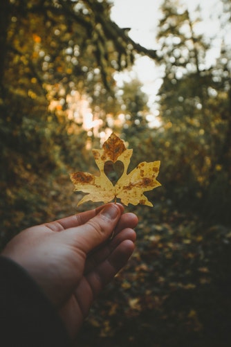“有心脏的instagram传单的秋季照片创意”